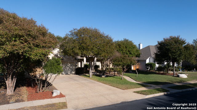 Listing photo id 43 for 142 Candelaria