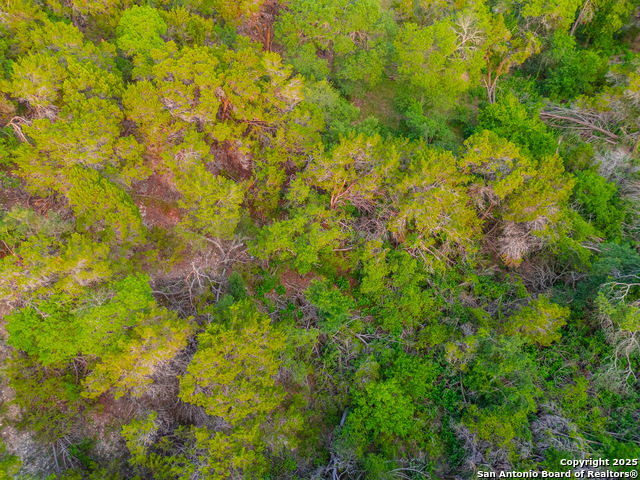 Image 14 of 20 For 463 Twilight