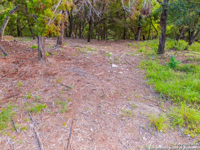 Image 15 of 20 For 463 Twilight