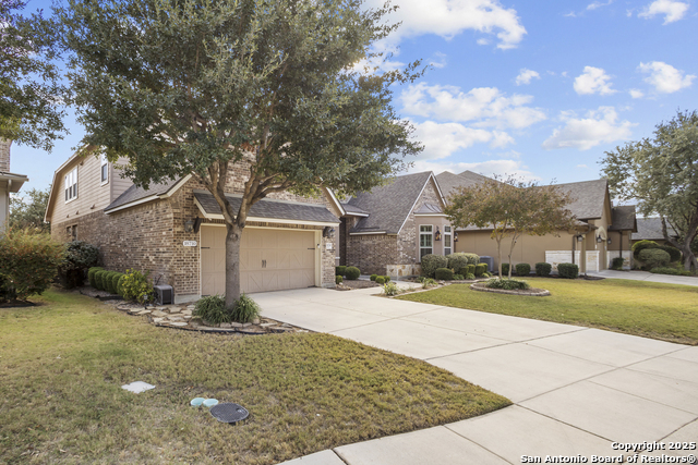 Image 2 of 60 For 18710 Golden Maize