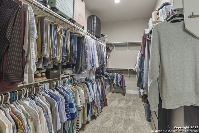 Image 28 of 60 For 18710 Golden Maize