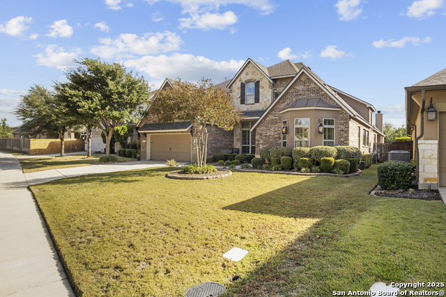 Image 3 of 60 For 18710 Golden Maize