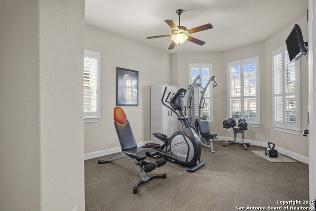 Image 32 of 60 For 18710 Golden Maize