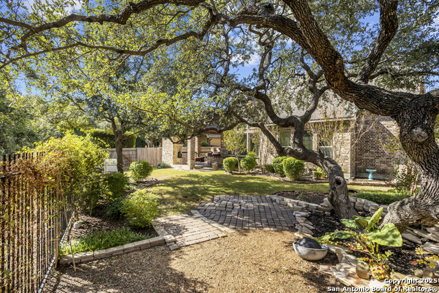 Image 52 of 60 For 18710 Golden Maize