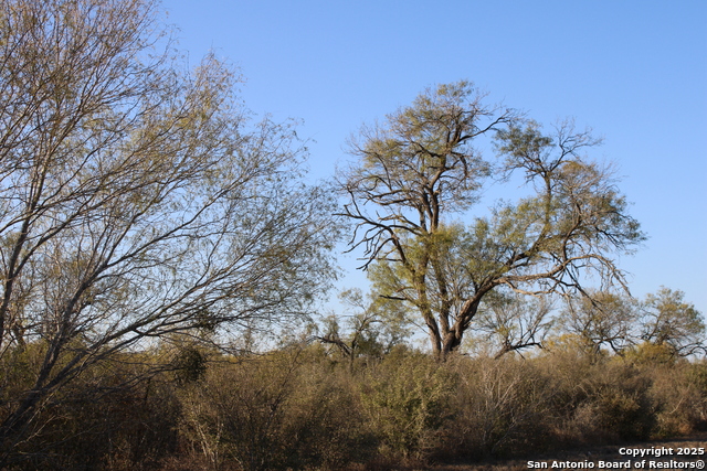 Image 10 of 31 For 0000 County Road 339