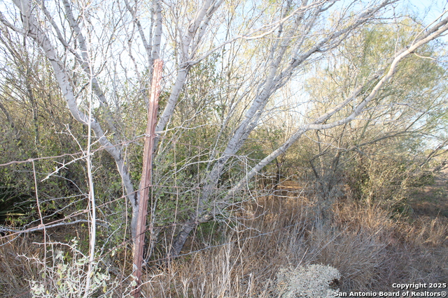 Image 11 of 31 For 0000 County Road 339