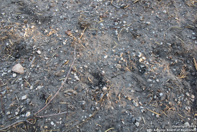 Image 12 of 31 For 0000 County Road 339