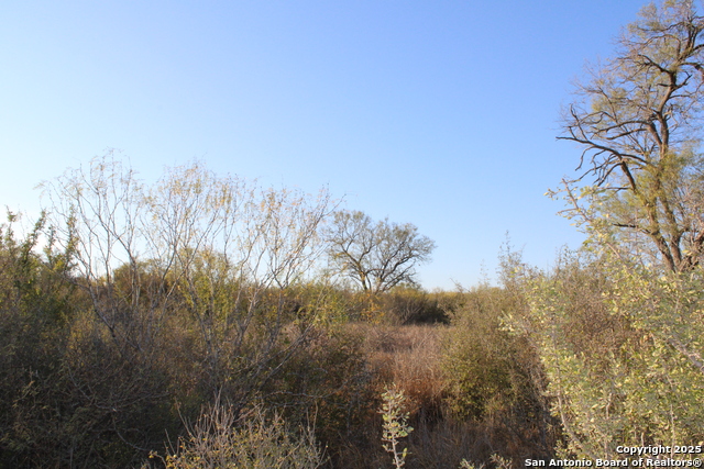 Image 13 of 31 For 0000 County Road 339