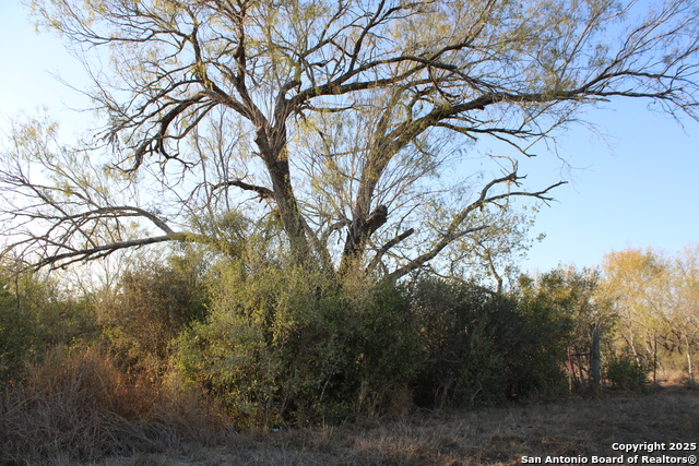 Image 14 of 31 For 0000 County Road 339