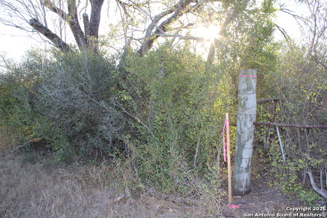 Image 15 of 31 For 0000 County Road 339