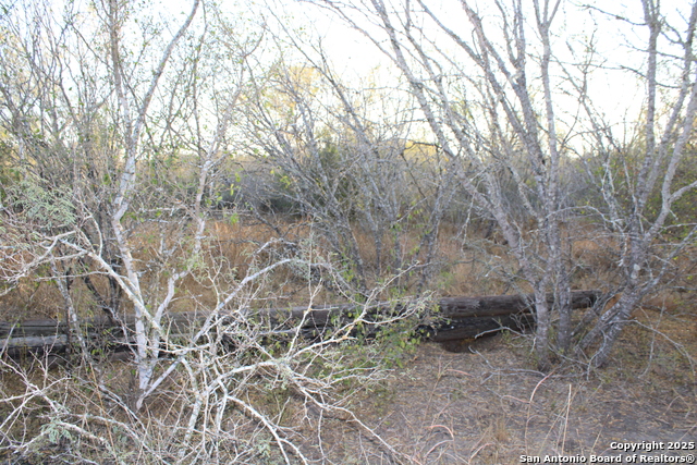 Image 16 of 31 For 0000 County Road 339