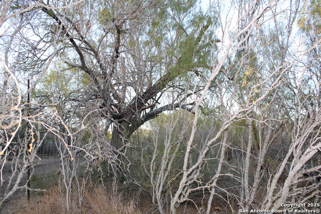 Image 24 of 31 For 0000 County Road 339