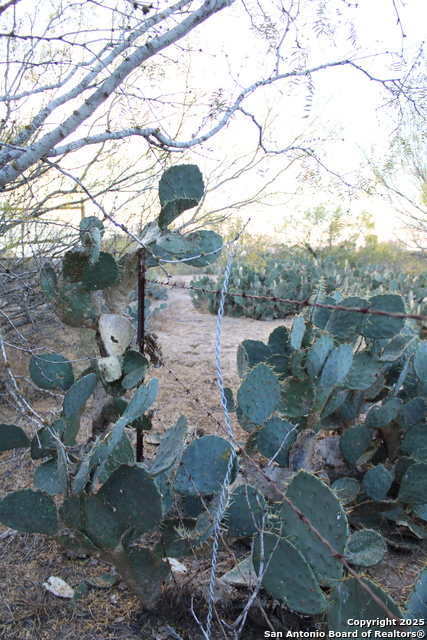 Image 25 of 31 For 0000 County Road 339