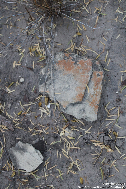 Image 28 of 31 For 0000 County Road 339