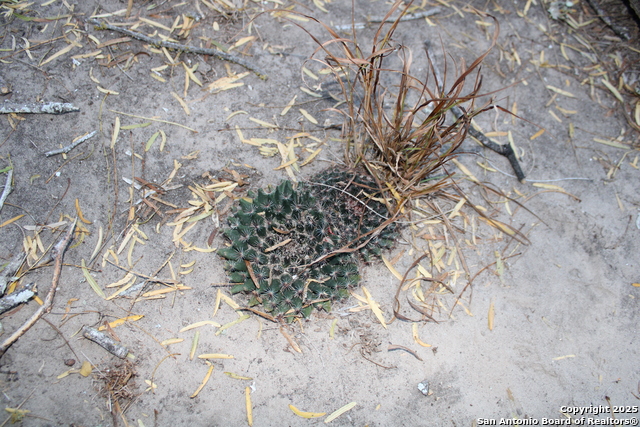 Image 29 of 31 For 0000 County Road 339