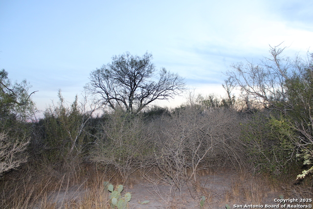 Image 30 of 31 For 0000 County Road 339