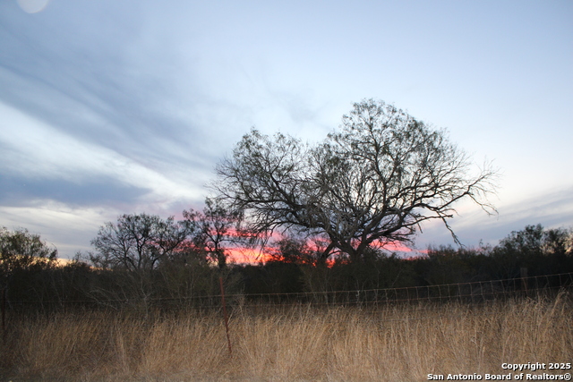 Image 31 of 31 For 0000 County Road 339