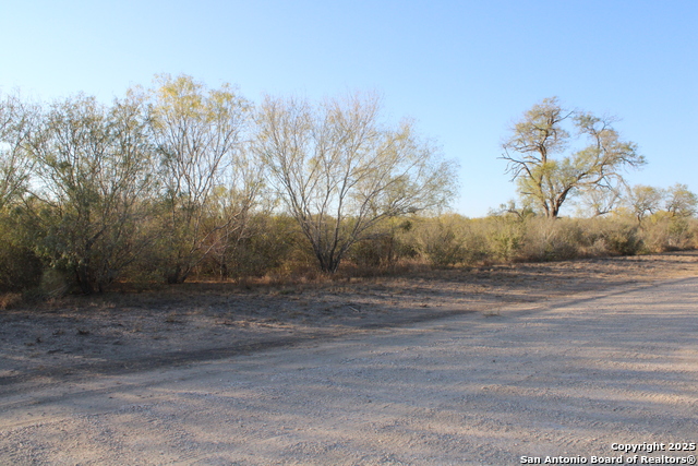 Image 4 of 31 For 0000 County Road 339