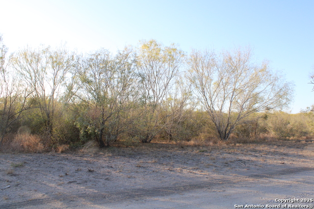 Image 7 of 31 For 0000 County Road 339