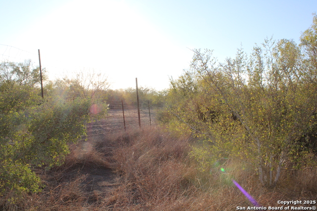 Image 9 of 31 For 0000 County Road 339