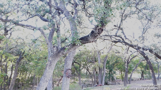 Image 8 of 40 For 849 Tamarack