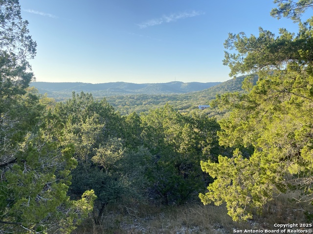 Details for 000 Frio Canyon Loop, ConCan, TX 78838