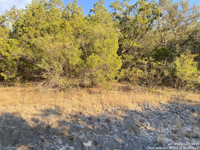 Image 6 of 17 For 000 Frio Canyon Loop