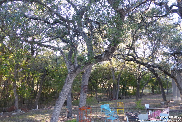 Image 39 of 40 For 1884 Live Oak