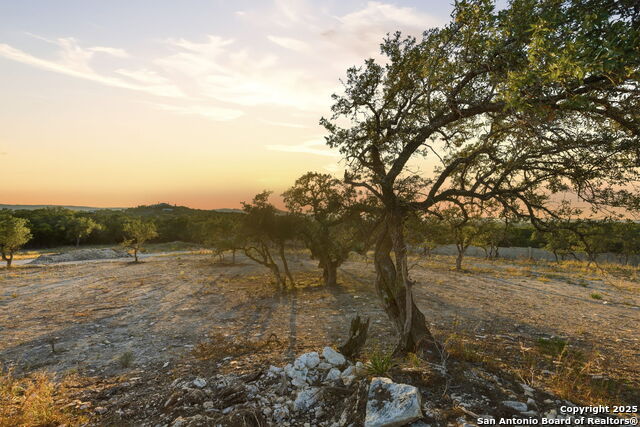 Image 12 of 35 For 30150 Roadrunner
