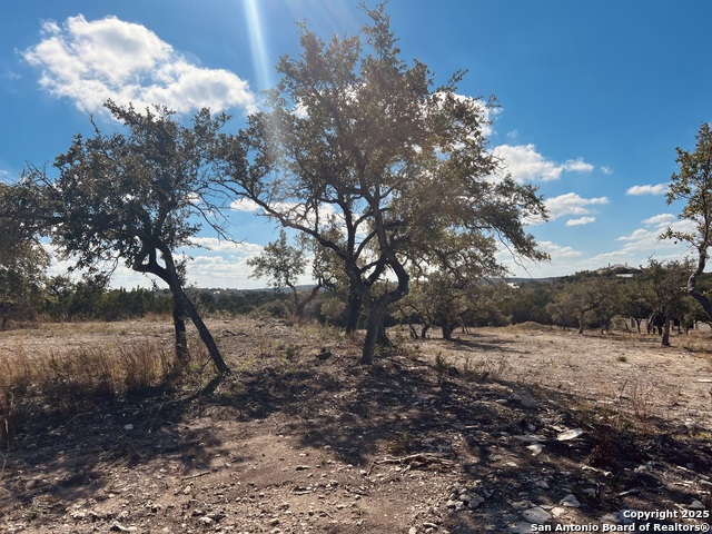 Image 31 of 35 For 30150 Roadrunner