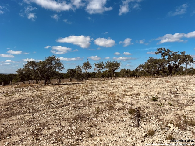 Image 33 of 35 For 30150 Roadrunner