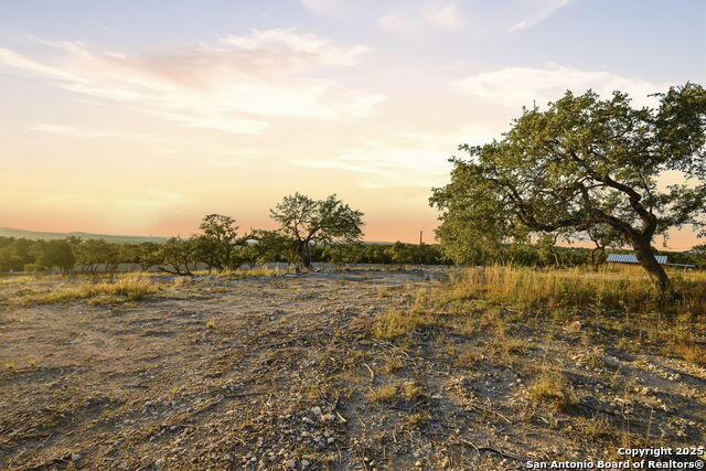 Image 8 of 35 For 30150 Roadrunner