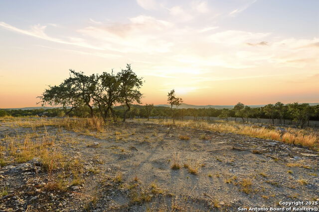 Image 9 of 35 For 30150 Roadrunner
