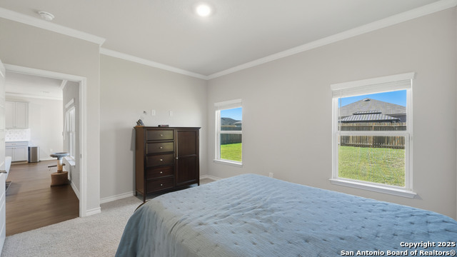 Image 29 of 37 For 266 Rolling