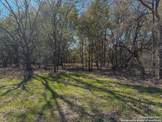 Image 10 of 17 For 000 Tract 3 & 5 Fm 539