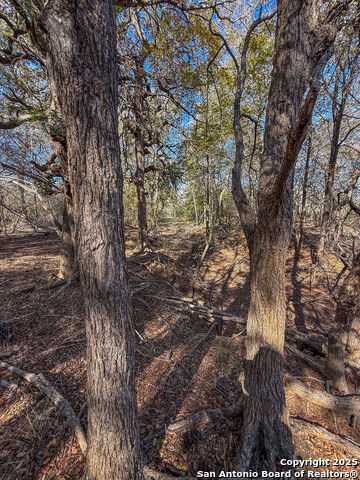 Image 12 of 17 For 000 Tract 3 & 5 Fm 539