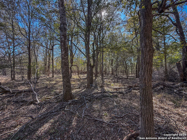 Image 14 of 17 For 000 Tract 3 & 5 Fm 539