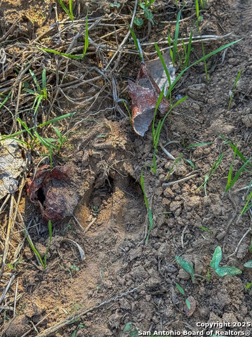 Image 3 of 17 For 000 Tract 3 & 5 Fm 539