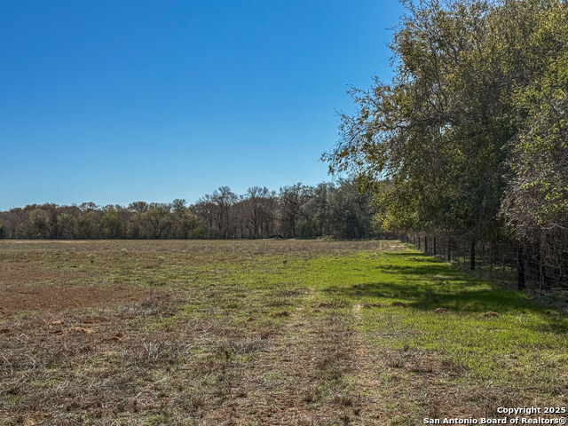 Image 4 of 17 For 000 Tract 3 & 5 Fm 539