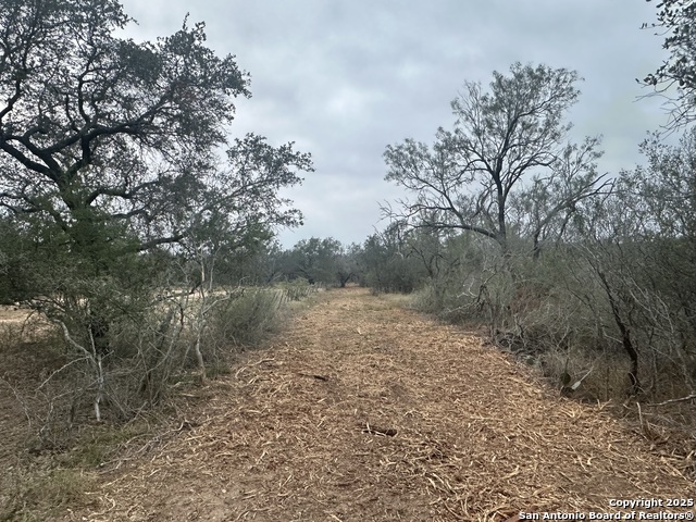 Image 10 of 22 For 1150 County Road 765