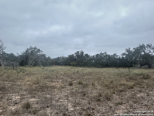 Image 14 of 22 For 1150 County Road 765