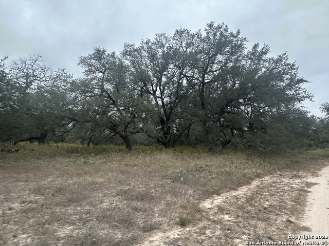 Image 15 of 22 For 1150 County Road 765