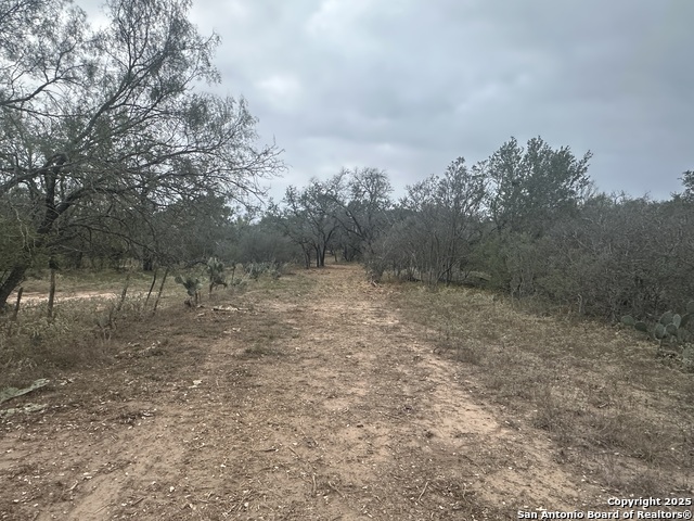 Image 9 of 22 For 1150 County Road 765