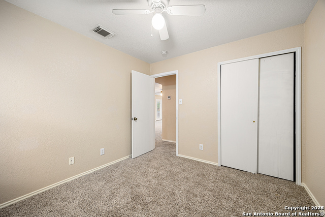 Image 20 of 43 For 807 Mandolin Wind