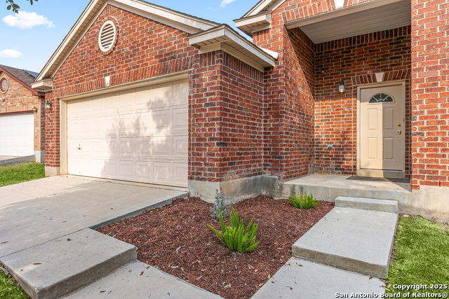 Image 4 of 43 For 807 Mandolin Wind