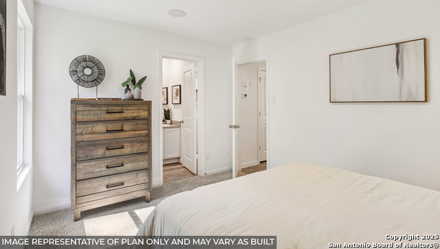 Image 7 of 15 For 2038 Zephyr Lily