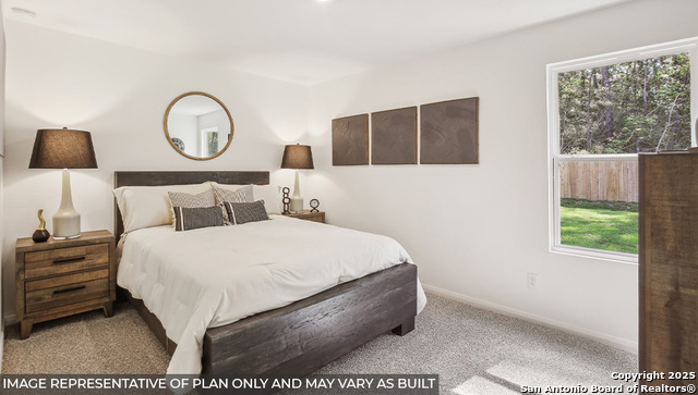 Image 8 of 15 For 2038 Zephyr Lily