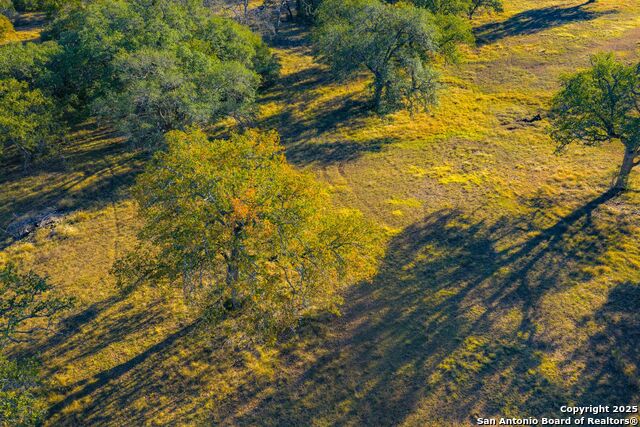 Listing photo id 15 for 740 Optimist Way