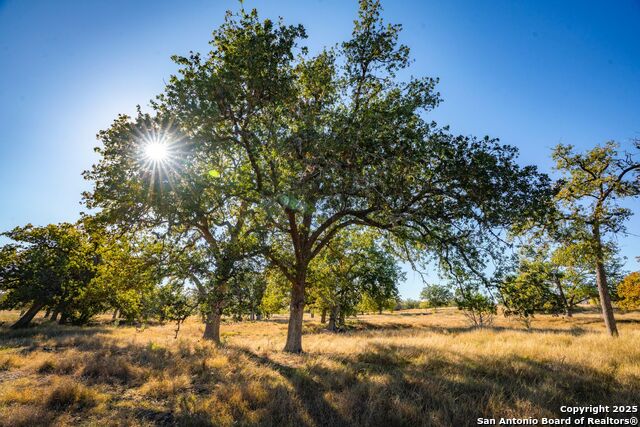 Listing photo id 20 for 740 Optimist Way