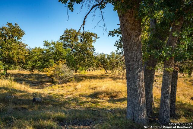 Listing photo id 23 for 740 Optimist Way